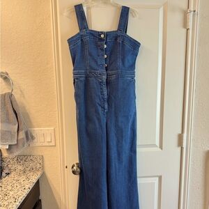 Anthropologie Indigo Blue Denim Wide-Leg Overalls